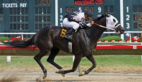 today's racecards sporting life